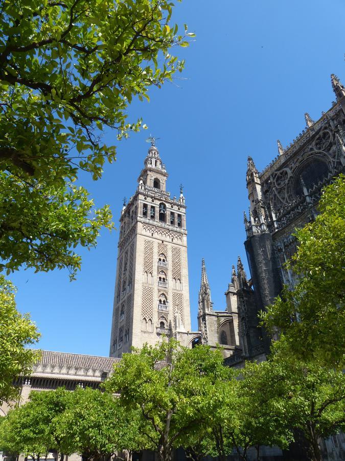 Hostly Acetres 1A Loft In City Center, Comunal Terrace, Fibre,Parking Optional Sevilla Buitenkant foto